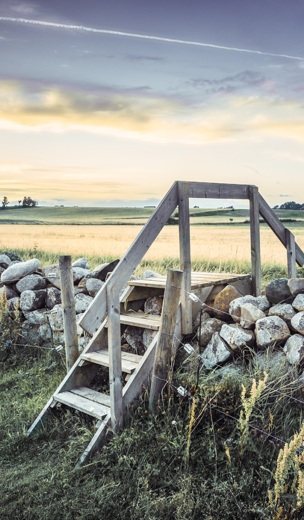 Лестница в поле