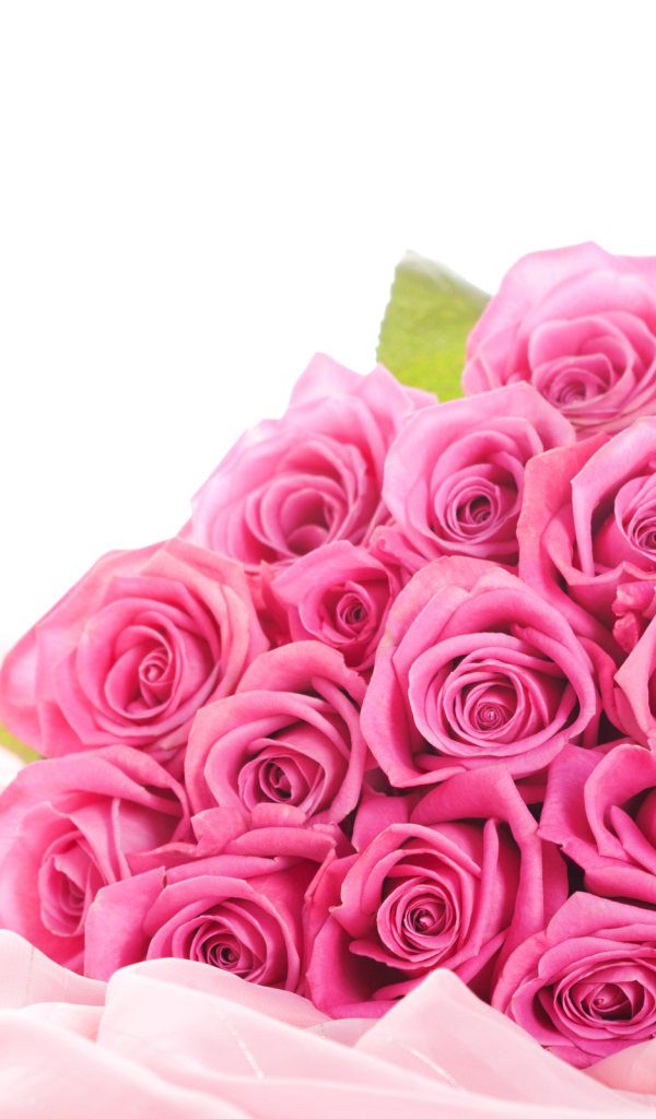 Розовые розы