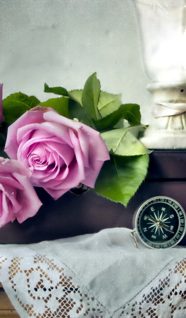 Лиловые розы