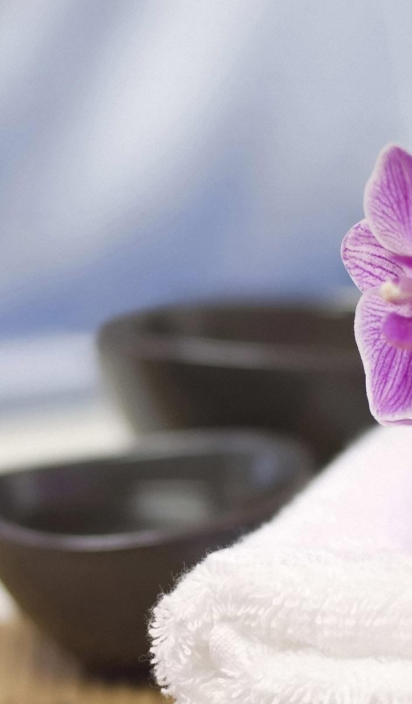 Веточка орхидеи