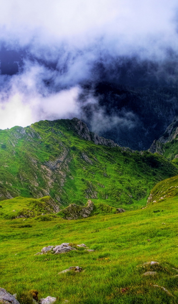 Высоко в горах