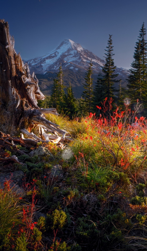 Гора на горизонте