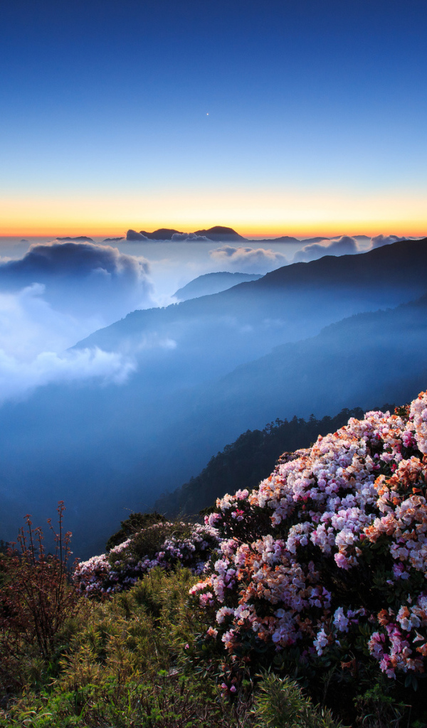 Горы в облаках