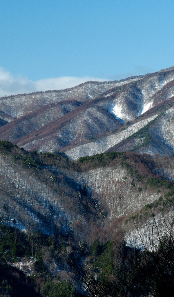 Заснеженные горы