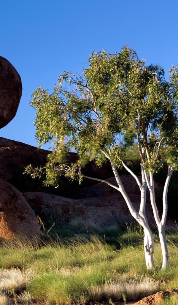 Круглые валуны