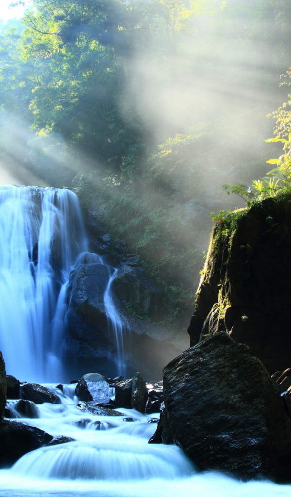 Речка в лесу