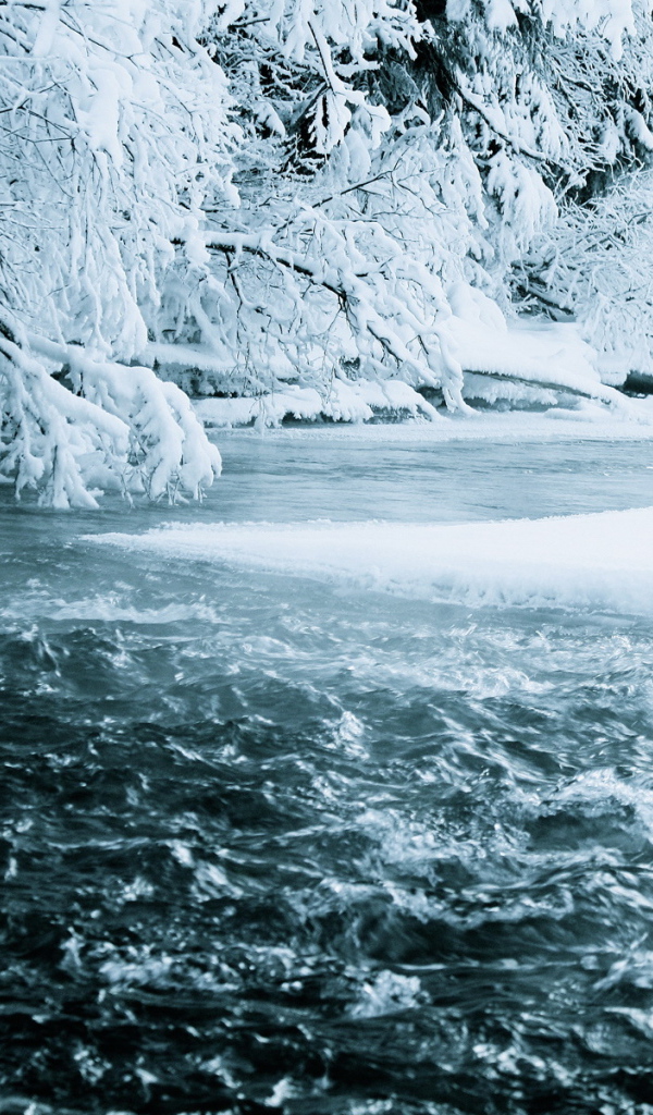 Зимняя река