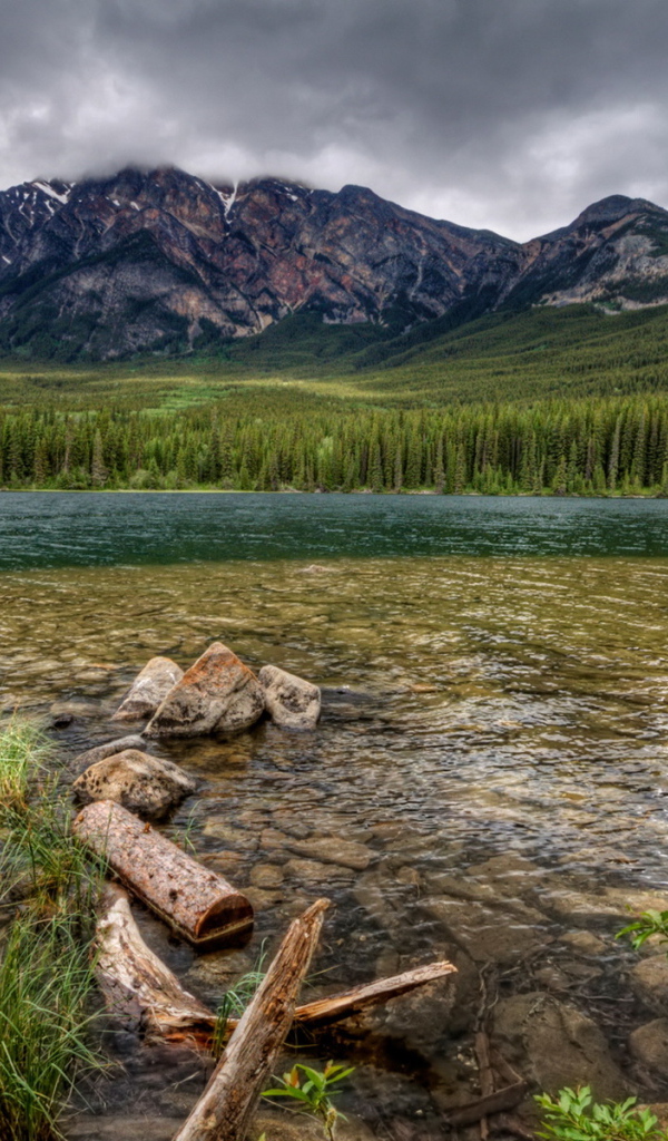 Каменистая река