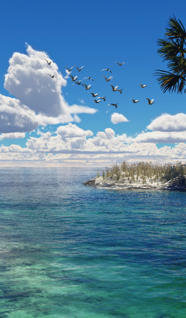 Чайки над морем