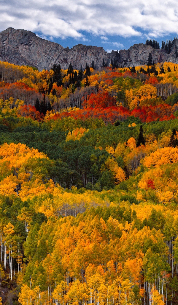 Красочная осень