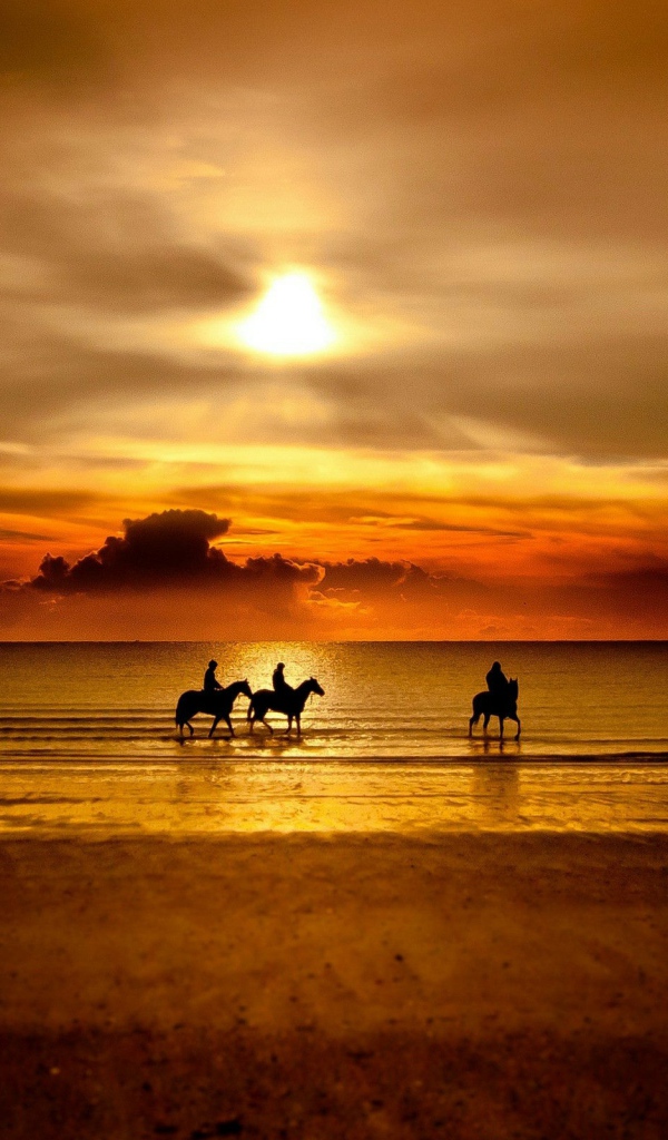 Прогулка на лошадях