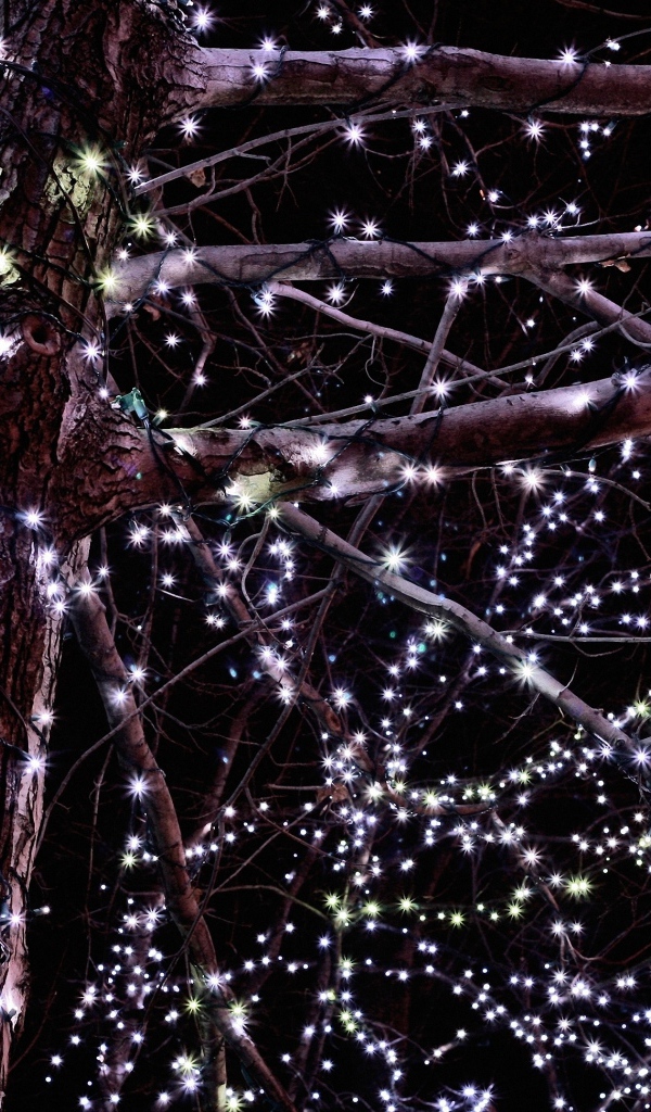 Гирлянды на дереве