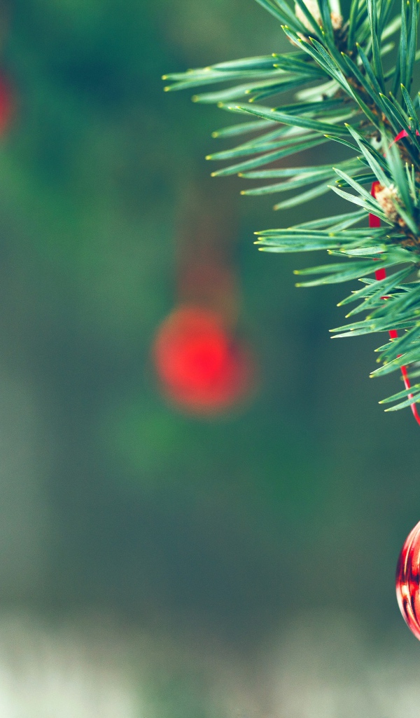 Красный шар на елке