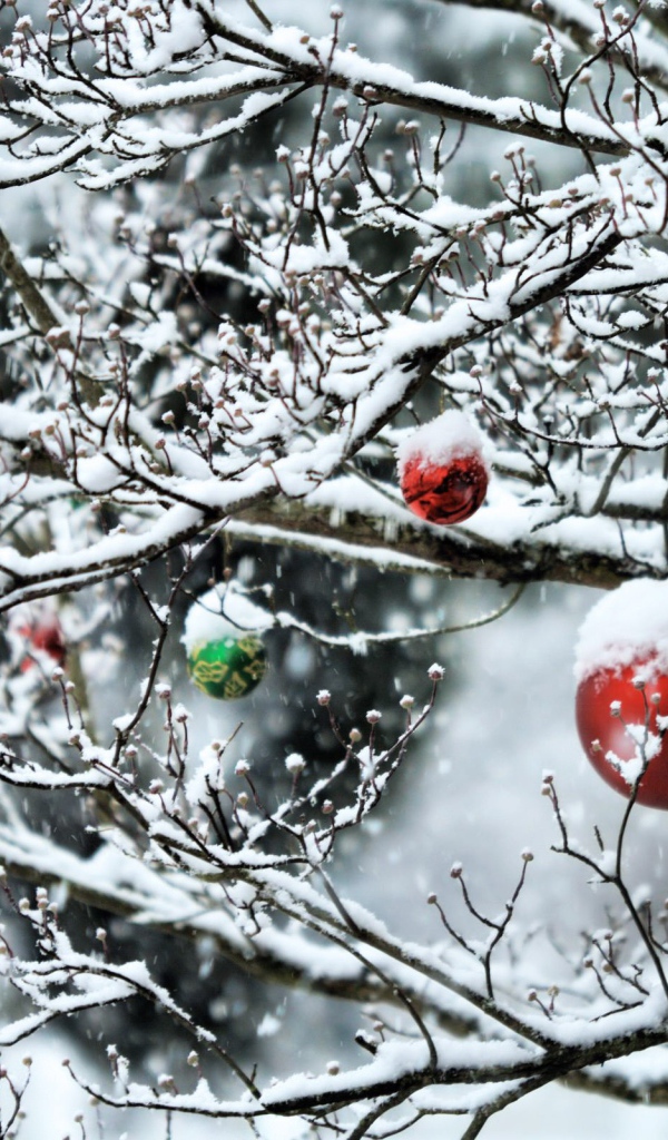 Игрушки на дереве