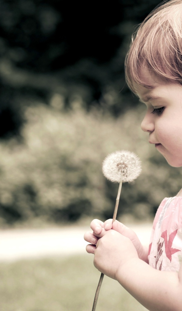 Ребенок и одуванчик