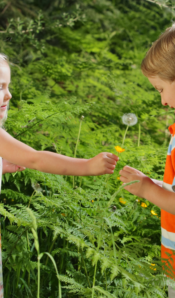 Детская романтика