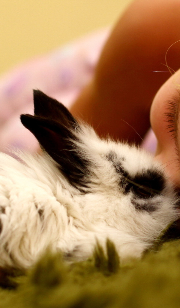 Девочка и кролик