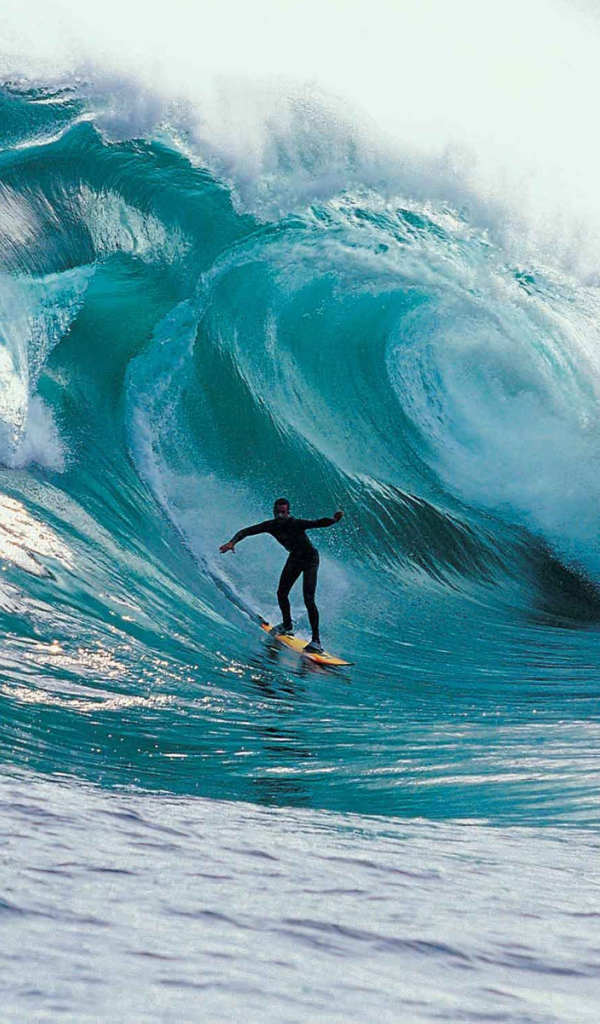 Экстримальный серфинг