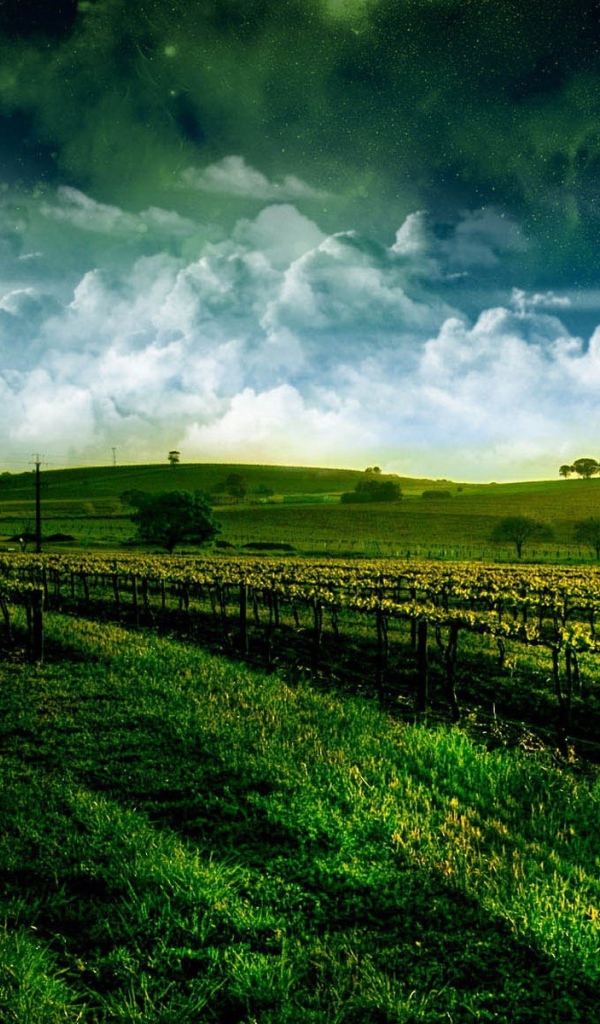 Осторожно шары