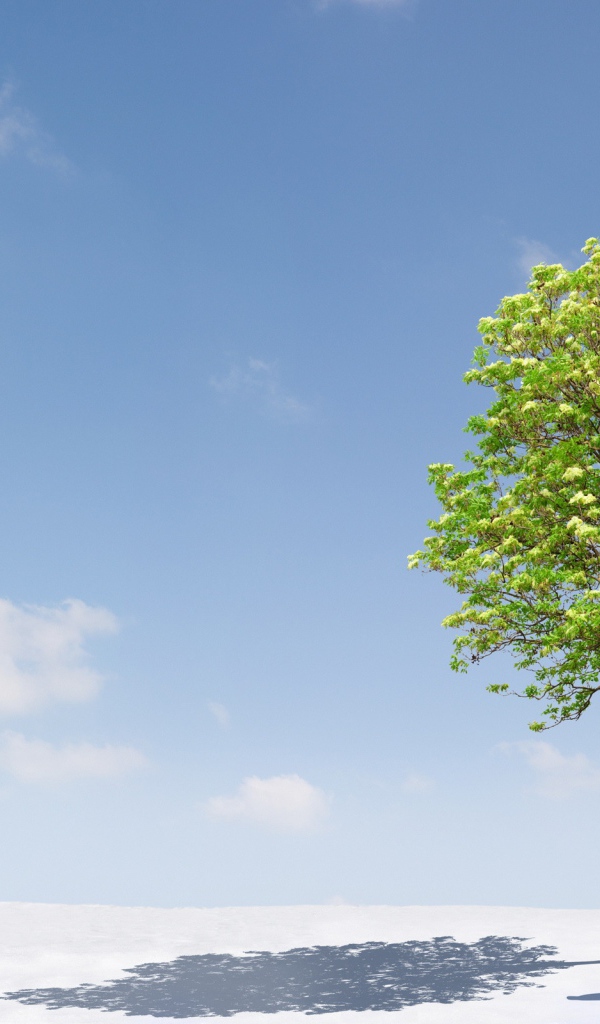 Пингвины и дерево