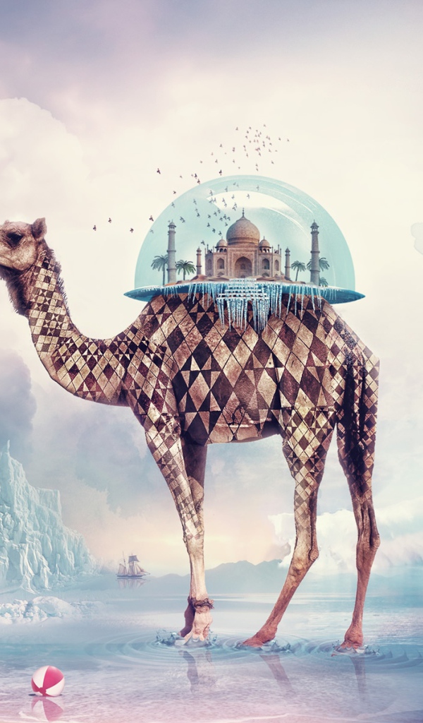 Необычный верблюд