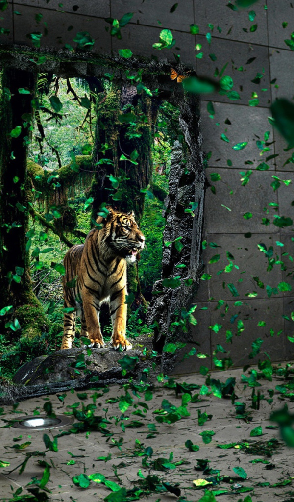 Тигр за стеной