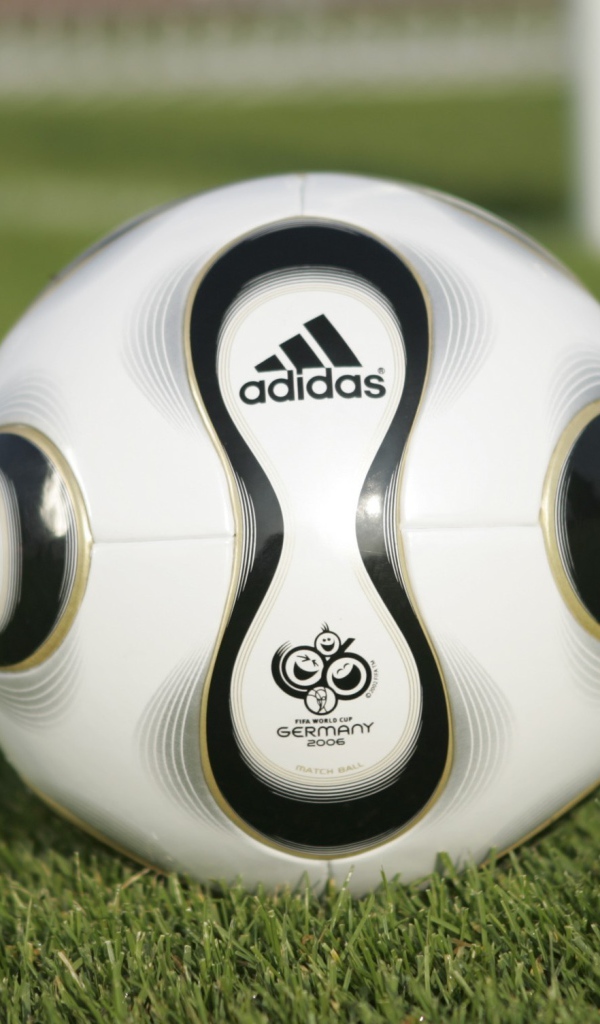Мяч ЧМ 2006