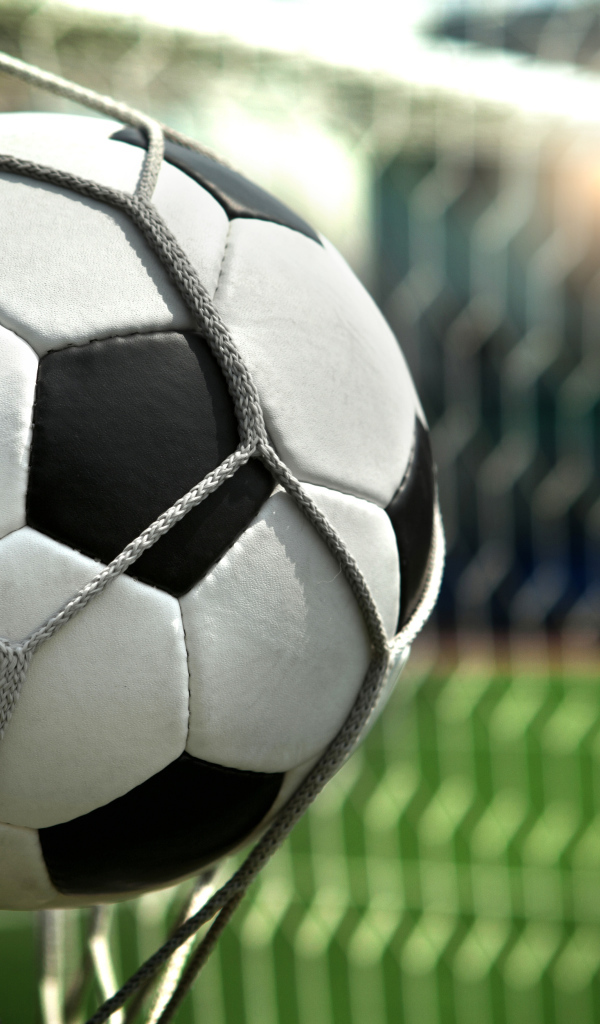 Футбольный мяч в сетке