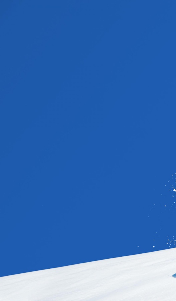 Сноубордист в полете