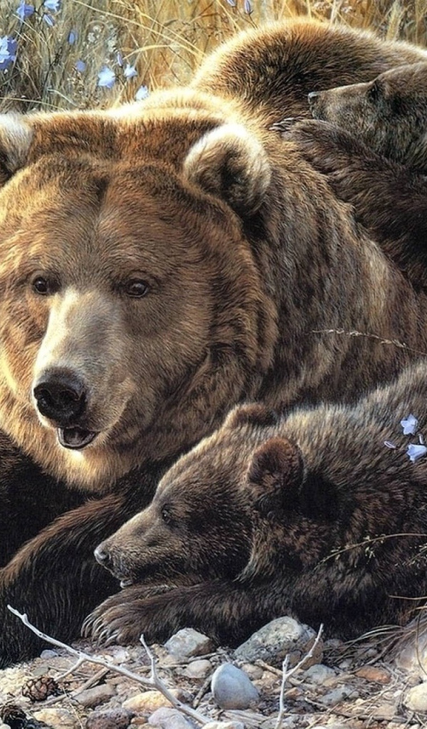 Семья медведей