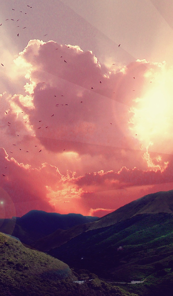 Прикольный недовольный кот