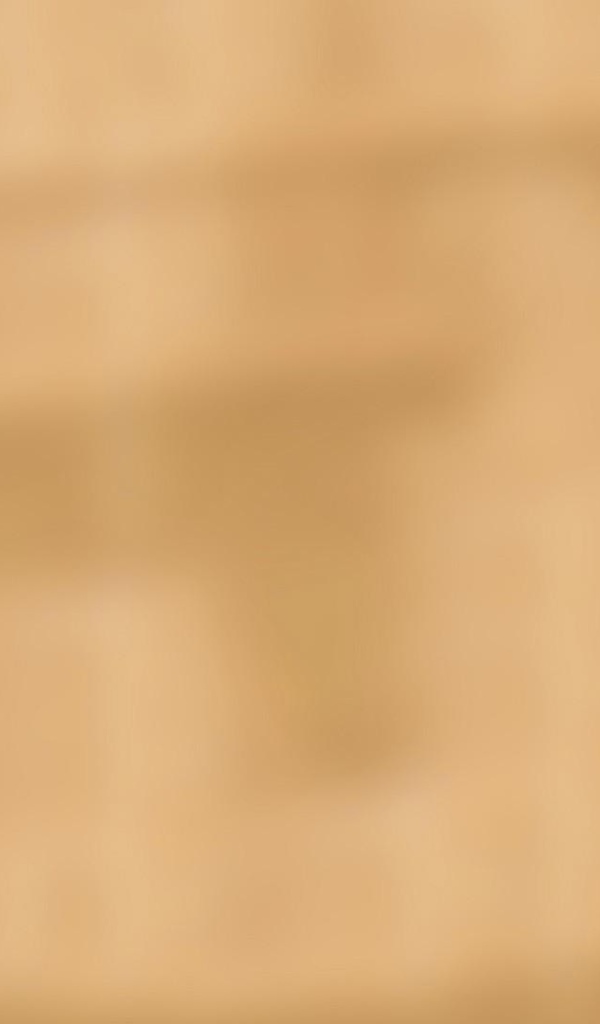 Серые коты подглядывают