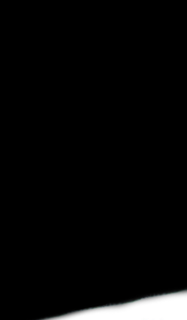 Маленький кот выглядывает из темноты