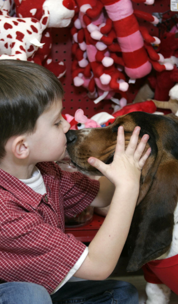 Бассет-хаунд и ребёнок