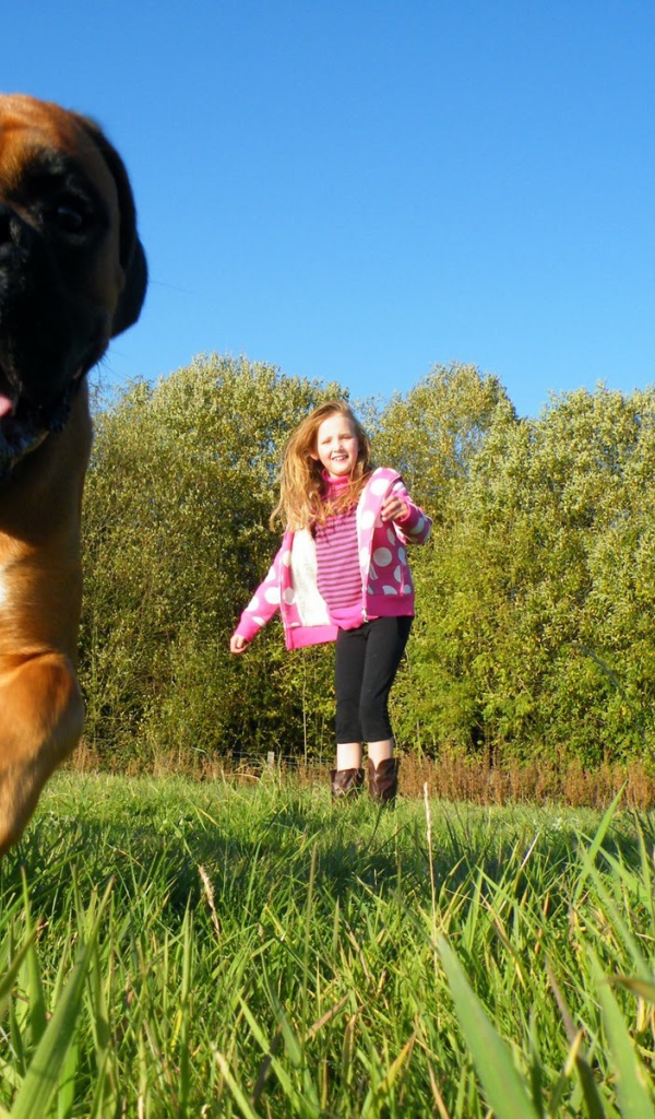 Боксёр убегает от ребёнка