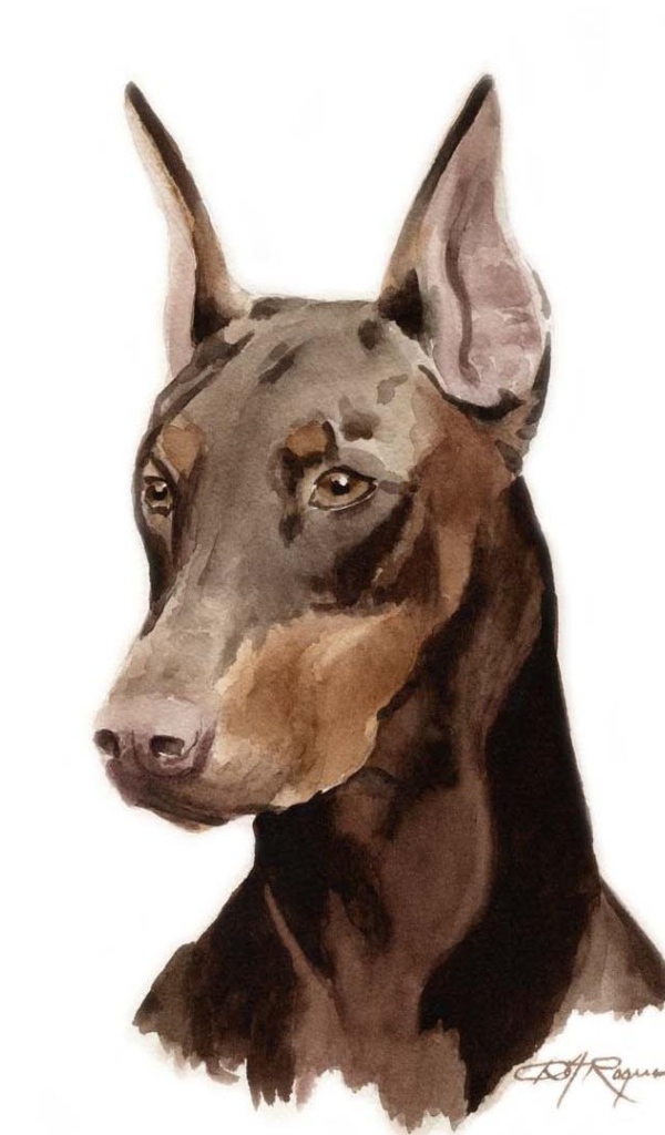 Картина добермана