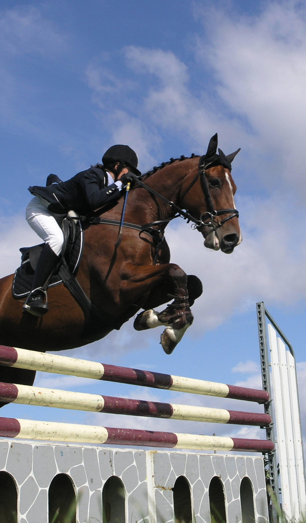 Знаменитые лошади