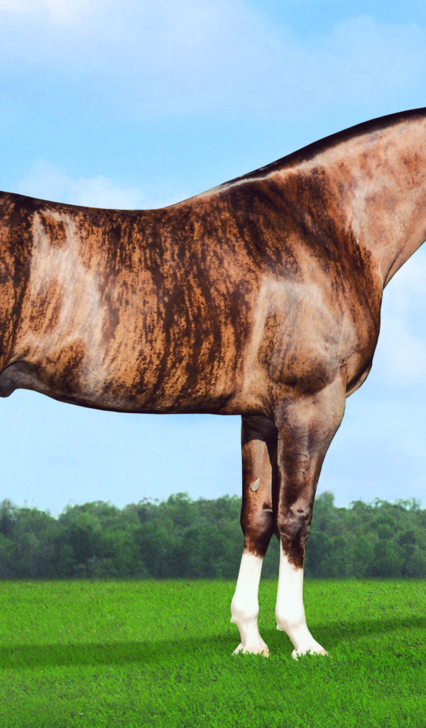 Золотая лошадь