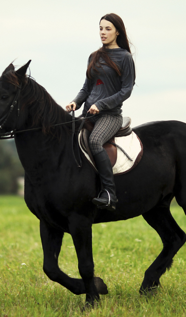 Лошадь со всадником