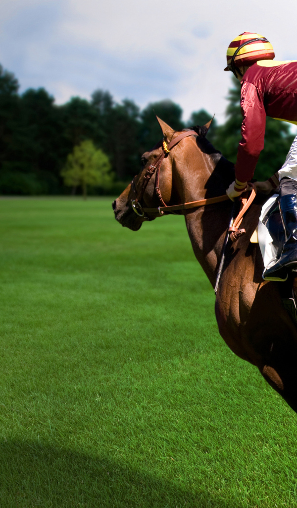 Езда на лошади