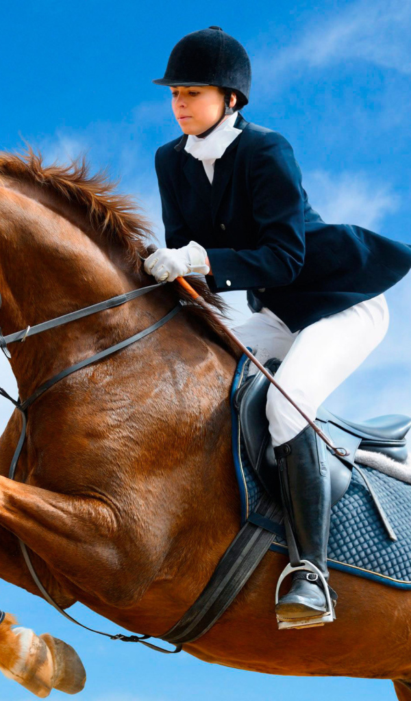 Лошадь скачущая