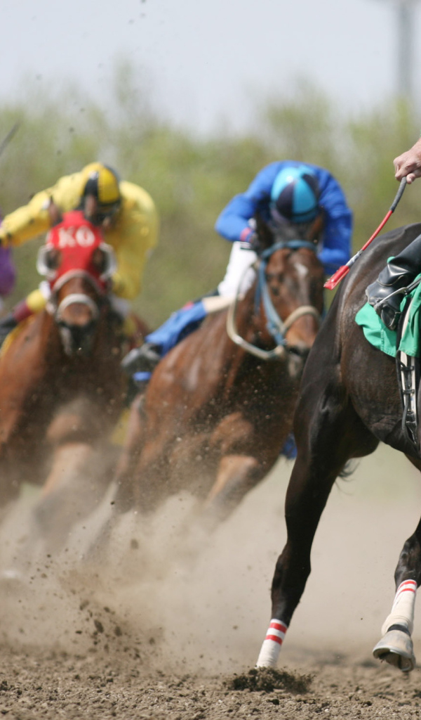 Гонки на лошадях