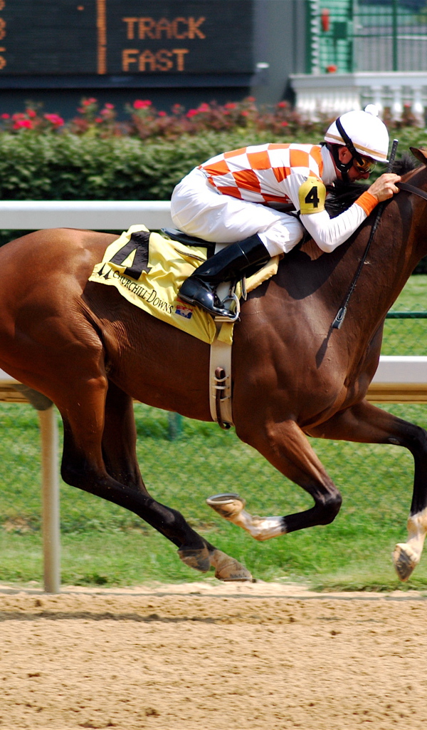 Скачки на лошадях