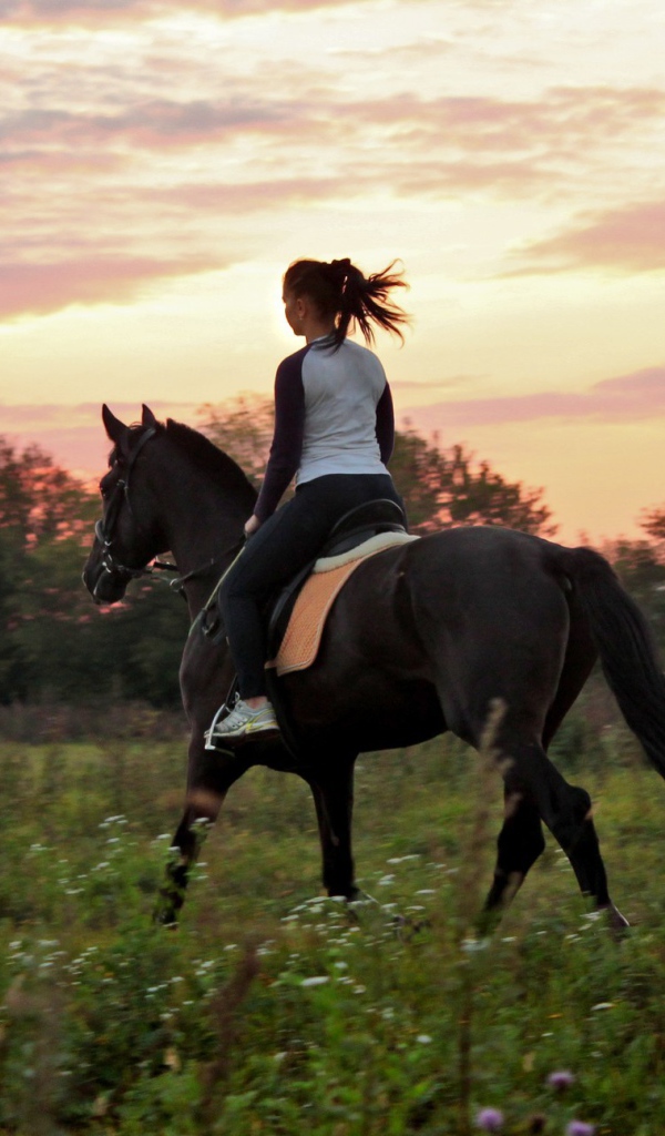 Прогулка на лошадях, закат
