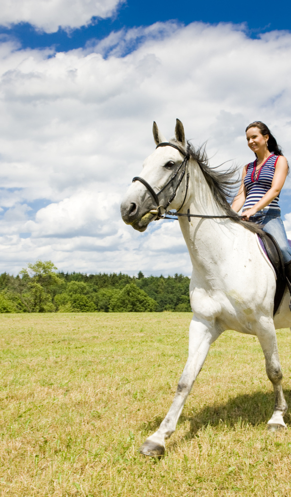 Катание на лошадях