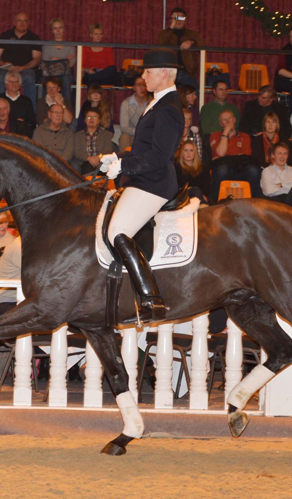 Лошади чемпионы