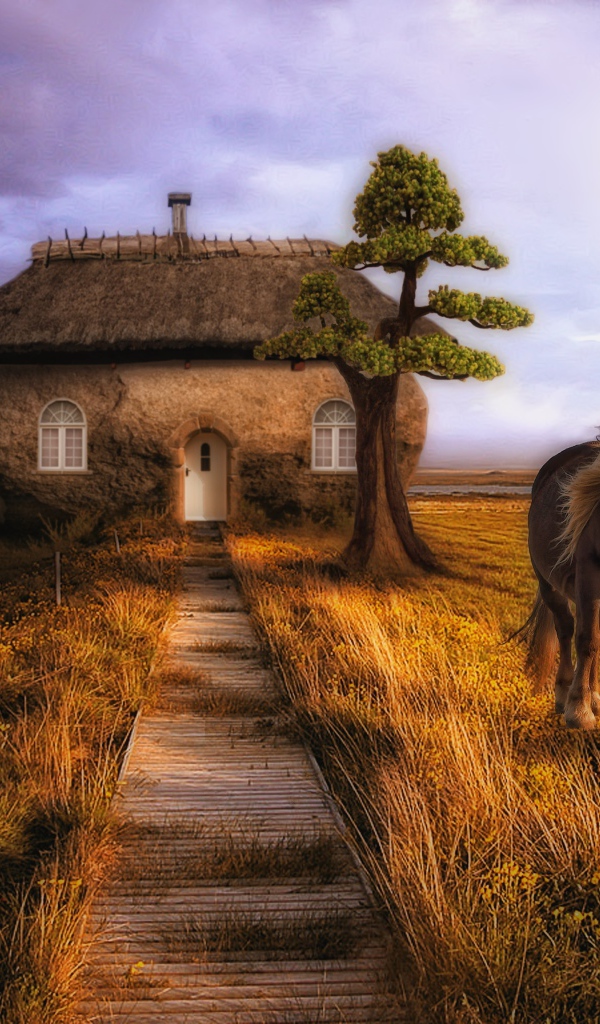 Дом лошадей