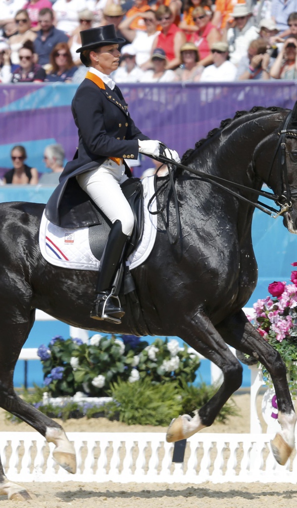 Всадник на лошади