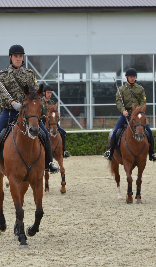 Верховая езда на лошади