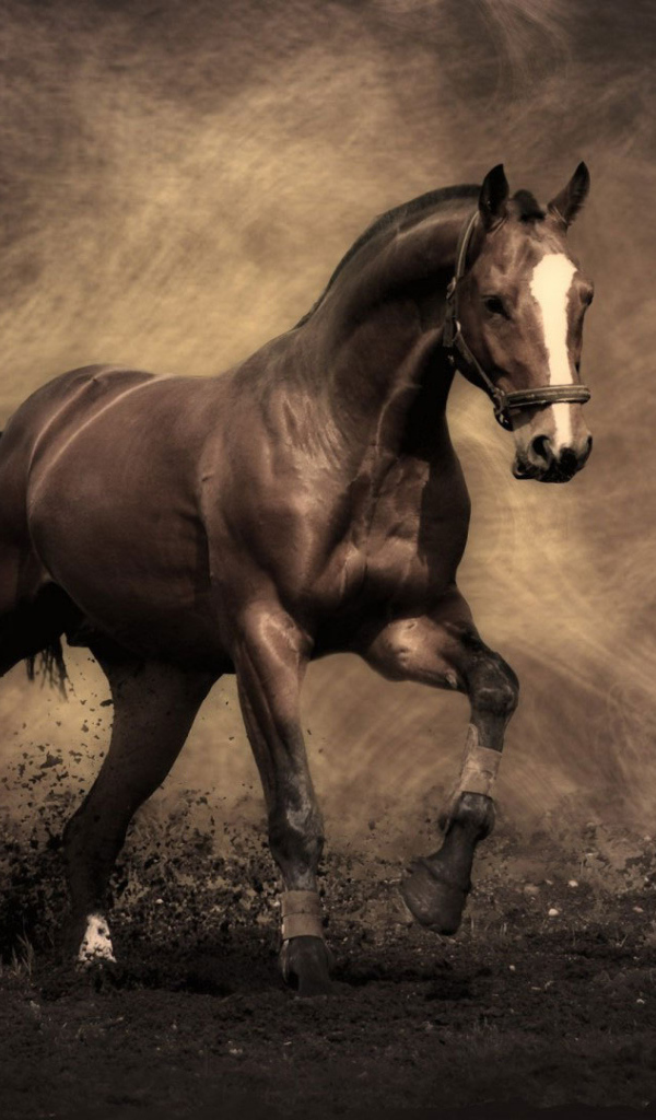 Самые знаменитые лошади